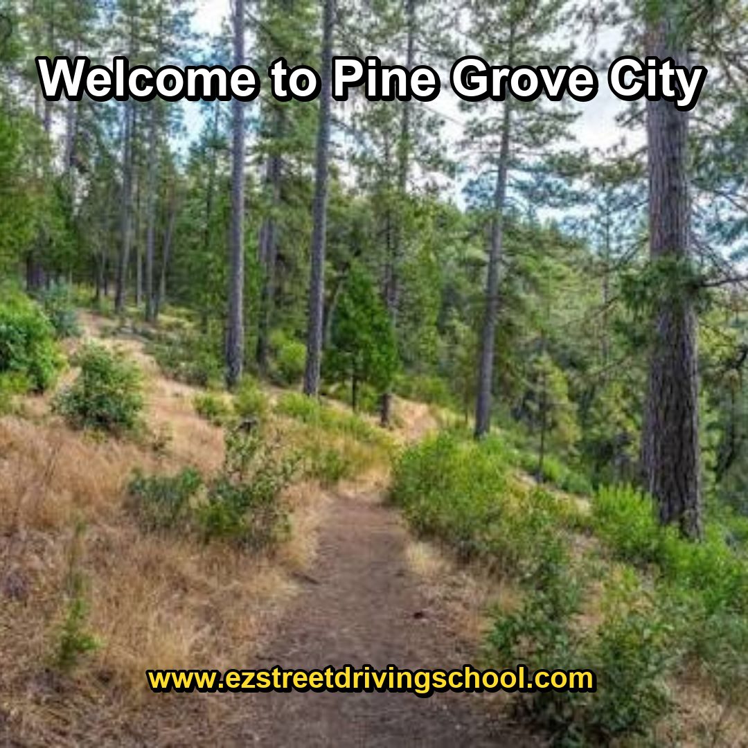 Driving Lessons in Pine Grove